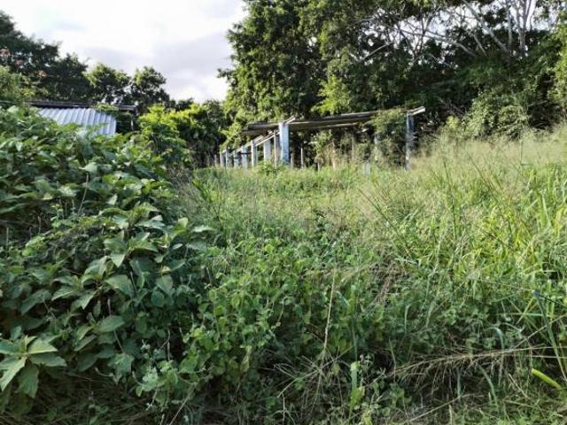 Rancho en venta en Tlalixcoyan, Veracruz