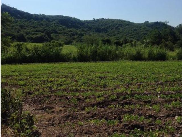 Rancho en venta en Ayala