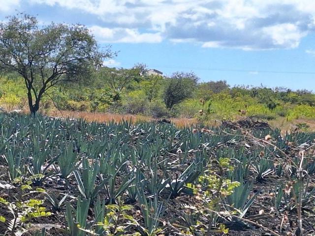 Terreno en venta en Zacapala, Puebla