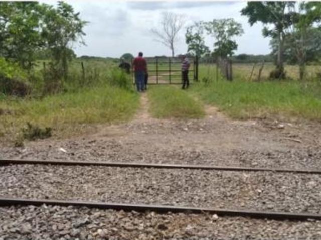 Rancho en venta en Tlalixcoyan, Veracruz