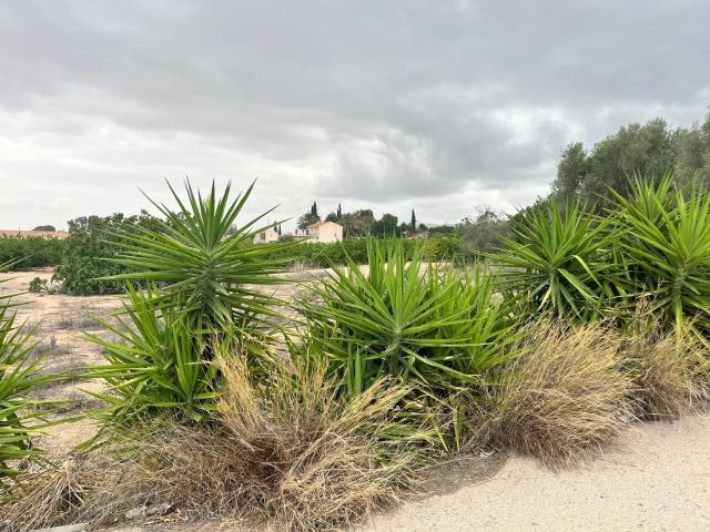 Chalet en venta en La Alberca, Área Metropolitana de Murcia
