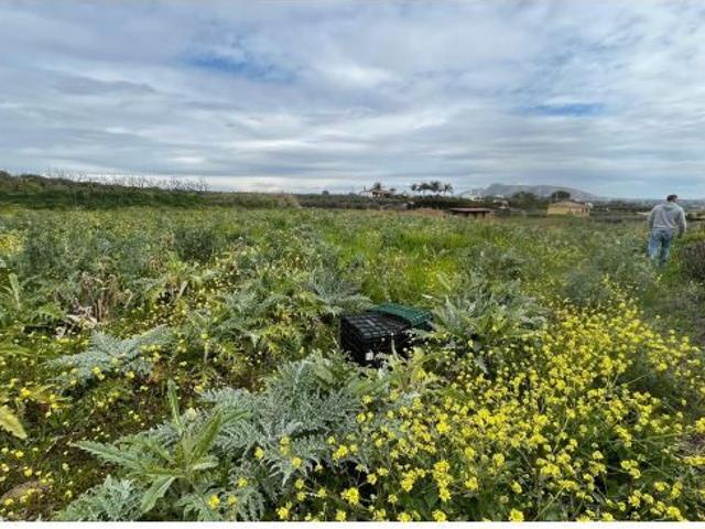 Local Comercial en venta en El Parral, Valle del Guadalhorce