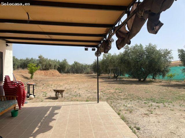 Local Comercial en venta en Comarca de la Vega de Granada, Andalucía