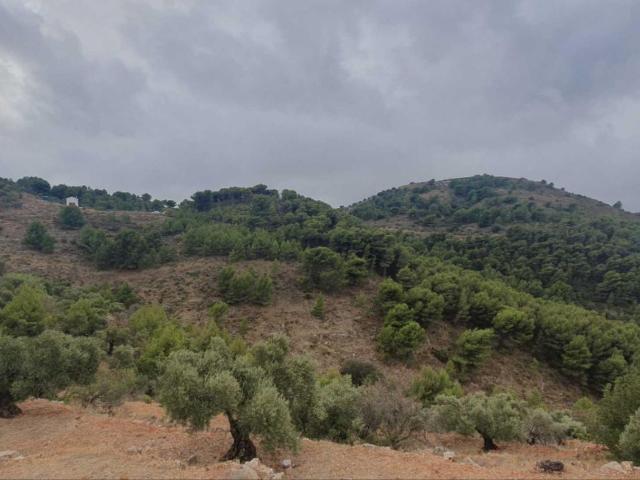 Terreno en venta en Yunquera
