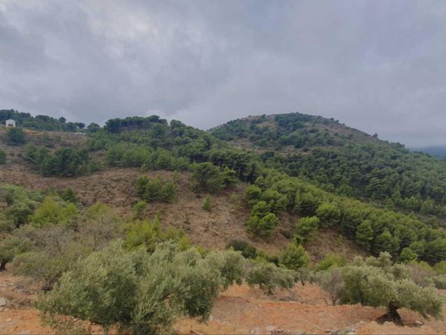 Terreno en venta en Sierra de las Nieves, Andalucía