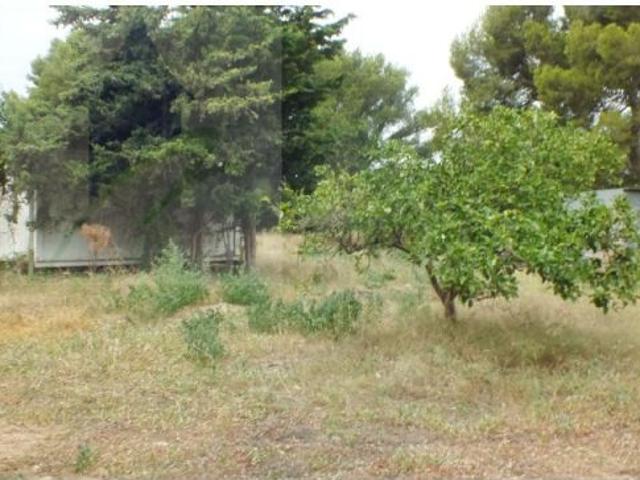 Local Comercial en venta en Mont-roig del Camp, Tarragona