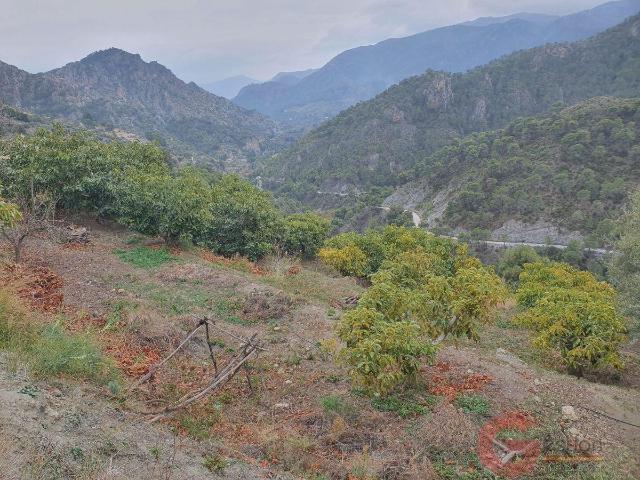 Apartamento en venta en Comarca de la Costa Granadina, Andalucía