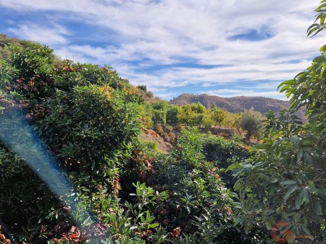 Apartamento en venta en Comarca de la Costa Granadina, Andalucía