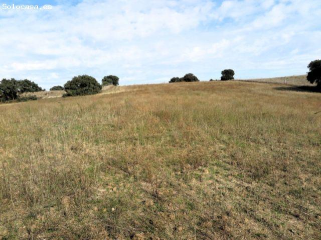 Casa en venta en La Dehesa, Navalcarnero