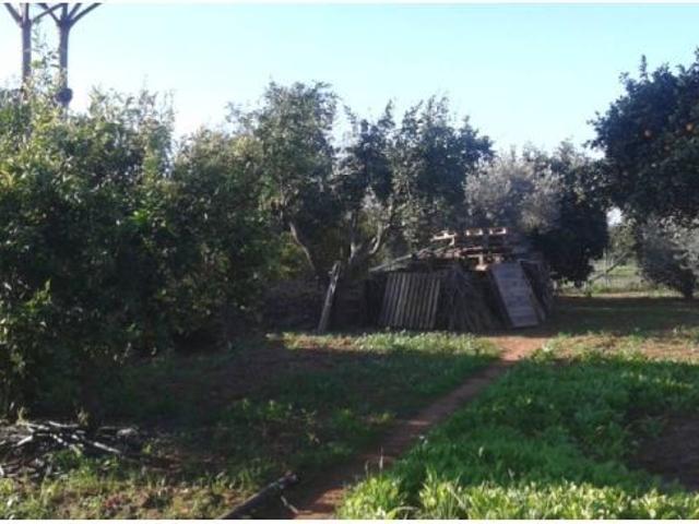 Local Comercial en venta en Ruana Baja, Dos Hermanas