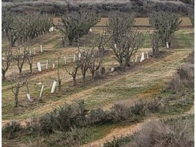 Casa en venta en Segrià, Catalunya