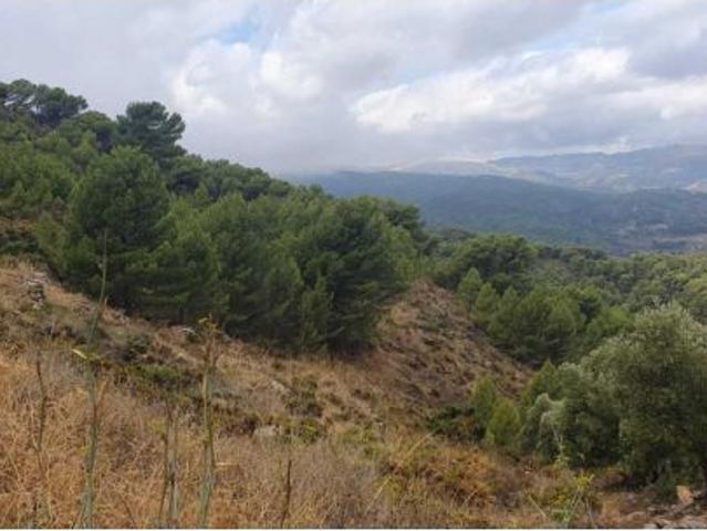 Finca en venta en Sierra de las Nieves, Andalucía