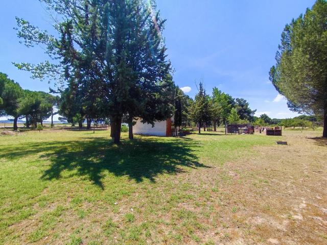Terreno en venta en La Pedraja De Portillo, Castilla y León