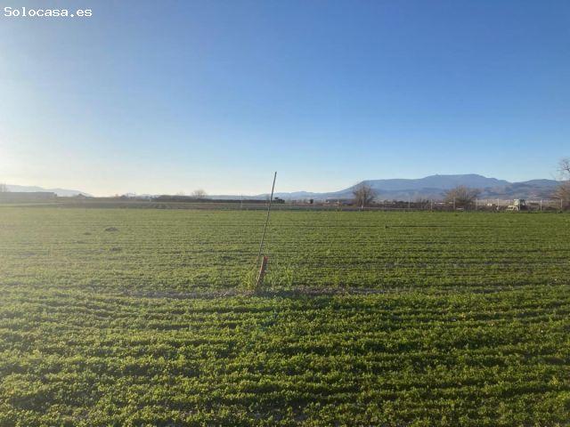 Local Comercial en venta en Comarca de la Vega de Granada, Andalucía