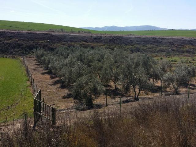 Chalet en venta en Peñarroya-pueblonuevo, Andalucía