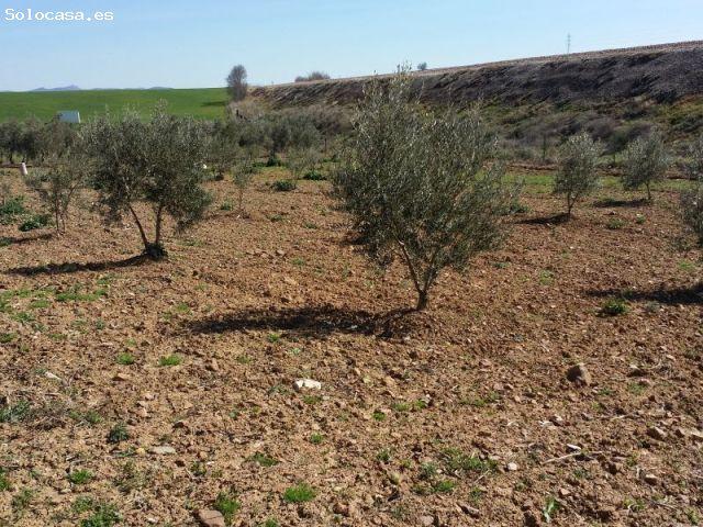 Local Comercial en venta en Peñarroya-pueblonuevo, Andalucía