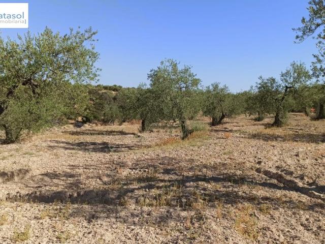 Terreno en venta en Gerena, Andalucía