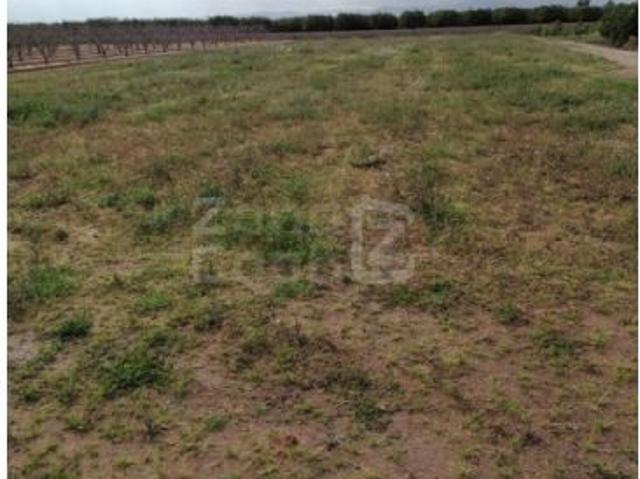 Casa en venta en la Ribera Alta, Valencia