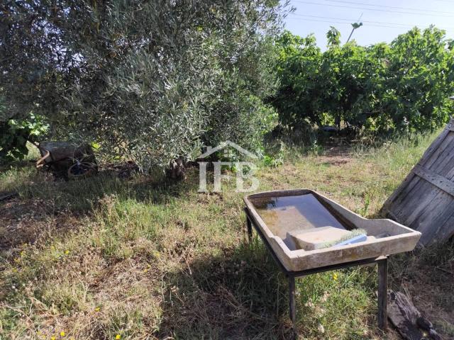 Terreno en venta en La Pilara, Tierra de Badajoz