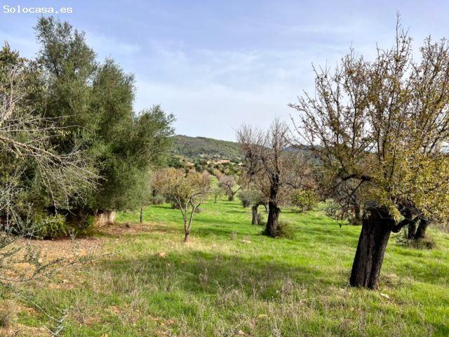 Local Comercial en venta en Ullaró, Raiguer