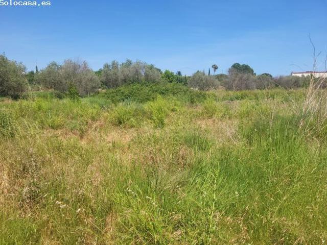 Local Comercial en venta en la Plana Alta, Valencia