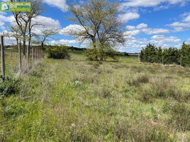 Local Comercial en venta en Aranda De Duero, Castilla y León