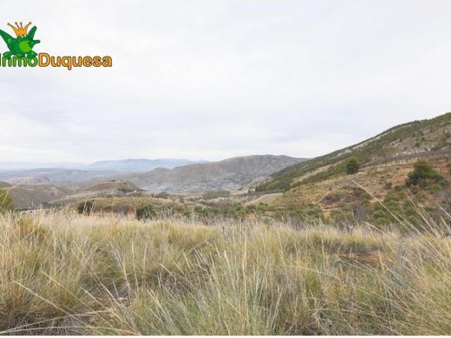 Local Comercial en venta en Monachil, Granada