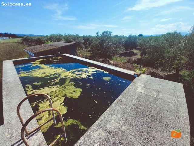 Local Comercial en venta en Montsià, Catalunya