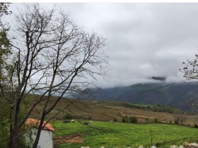 Finca en venta en San Miguel de Luena, Luena