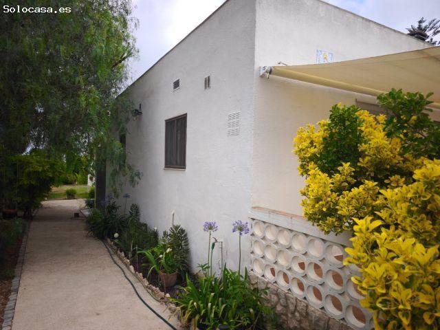 Local Comercial en venta en Amposta, Tarragona