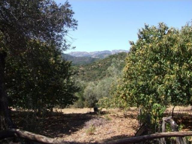 Casa en venta en Serranía de Ronda, Andalucía