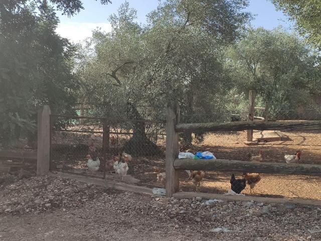 Chalet en venta en Montsià, Catalunya