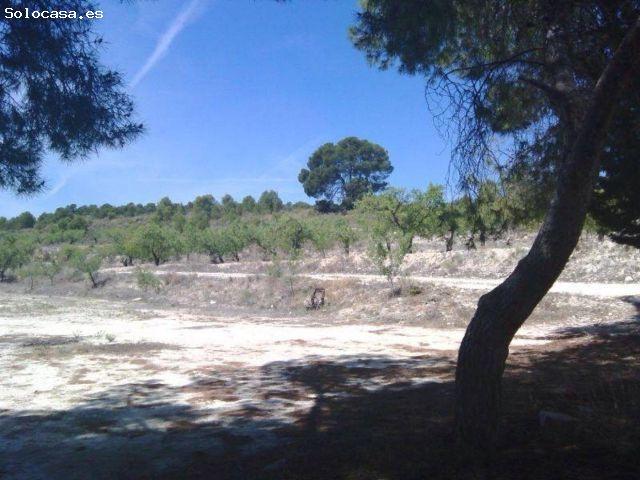 Local Comercial en venta en Noroeste, Murcia