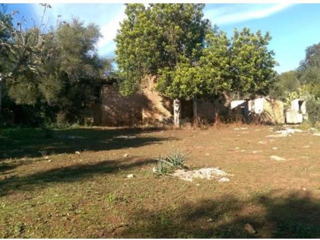 Local Comercial en venta en Raiguer, Baleares