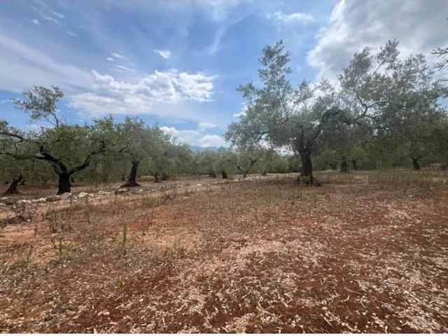 Local Comercial en venta en Montsià, Catalunya