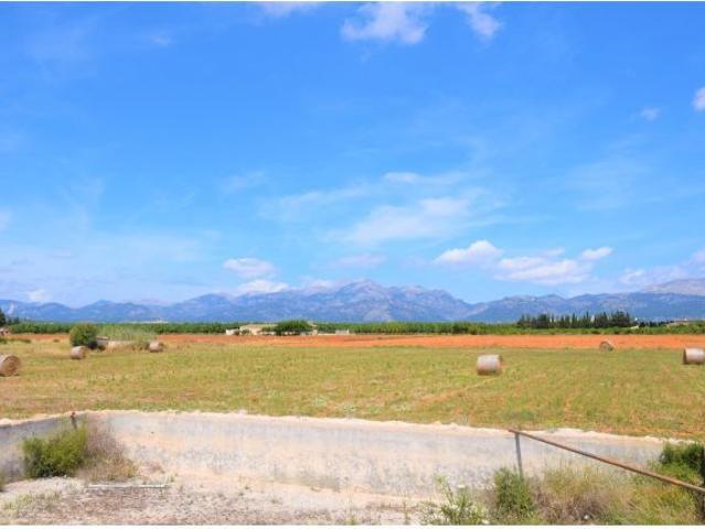 Local Comercial en venta en Pla de Mallorca, Baleares