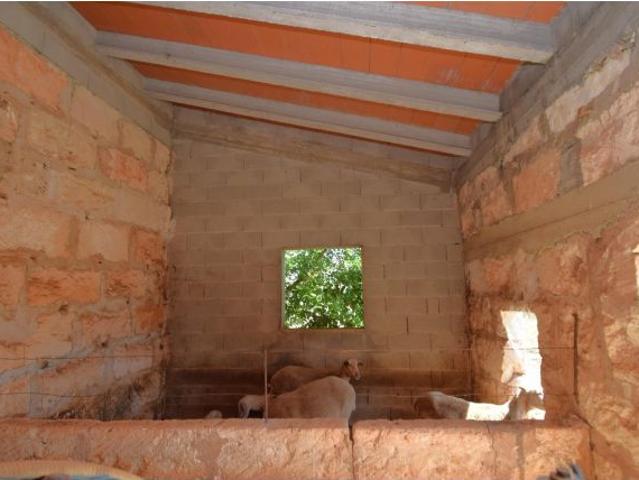 Local Comercial en venta en Pla de Mallorca, Baleares