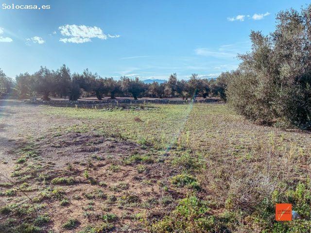 Casa en venta en Montsià, Catalunya