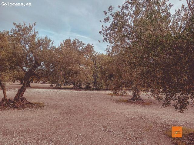 Local Comercial en venta en Montsià, Catalunya