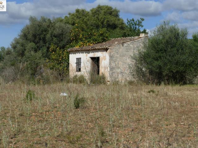 Terreno en venta en Binissalem
