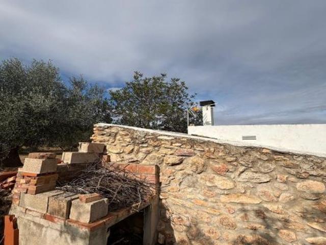 Local Comercial en venta en Baix Ebre, Catalunya