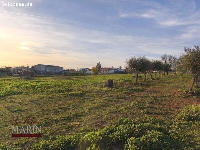 Local Comercial en venta en Mérida