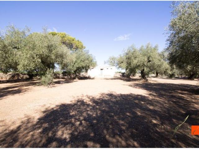 Local Comercial en venta en Montsià, Catalunya