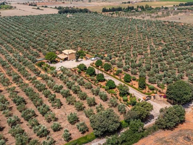 Chalet en venta en Pla de Mallorca, Baleares