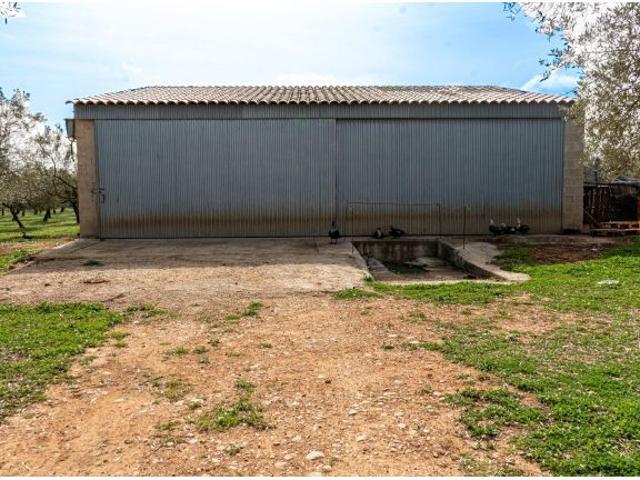 Local Comercial en venta en Pla de Mallorca, Baleares