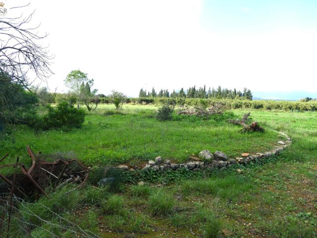 Chalet en venta en Pla de Mallorca, Baleares