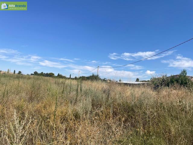 Terreno en venta en Aranda De Duero, Castilla y León