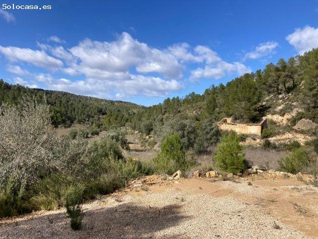 Local Comercial en venta en Matarraña / Matarranya, Calaceite