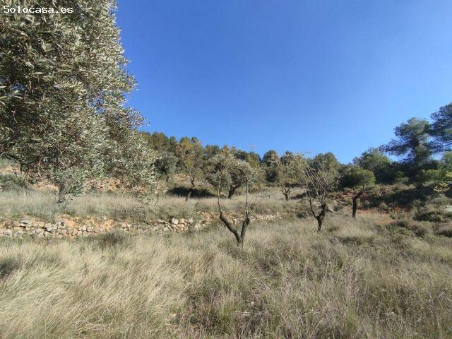 Local Comercial en venta en Matarraña / Matarranya, Beceite