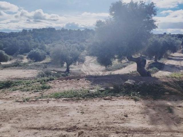 Local Comercial en venta en Matarraña / Matarranya, Calaceite
